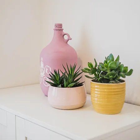 Gotar With Garden * Kobarid