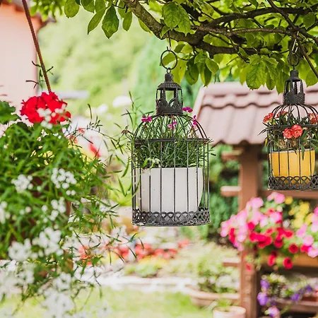 Apartman Gotar With Garden